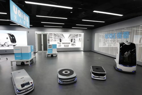 秉持实的态度增强干的力度跑出快的速度——以高质量信息技术咨询服务项目支撑高质量发展